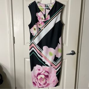 ECI New York Fitted Floral and Stripe Dress